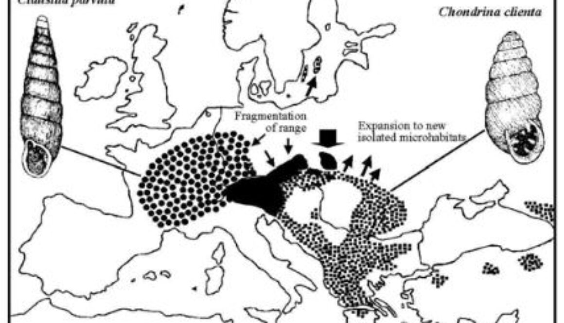 mapdoc1orstan