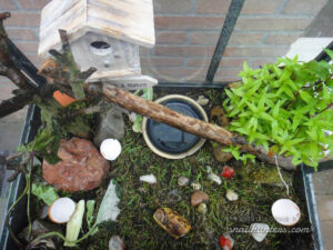 snails-2013-1_w snails-2013-1_w