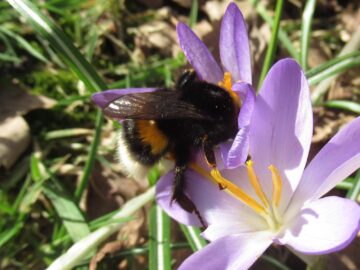 signs of spring 2021